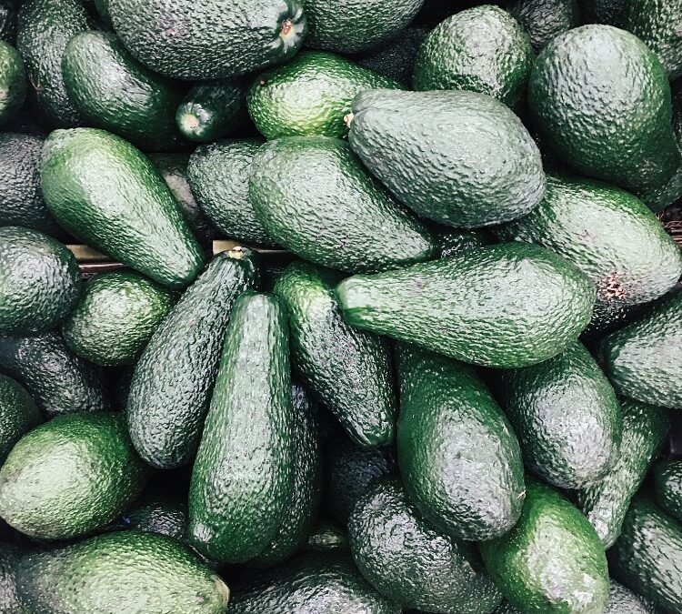 El Aguacate Hass: Un Tesoro Verde para la Salud y la Economía Colombiana